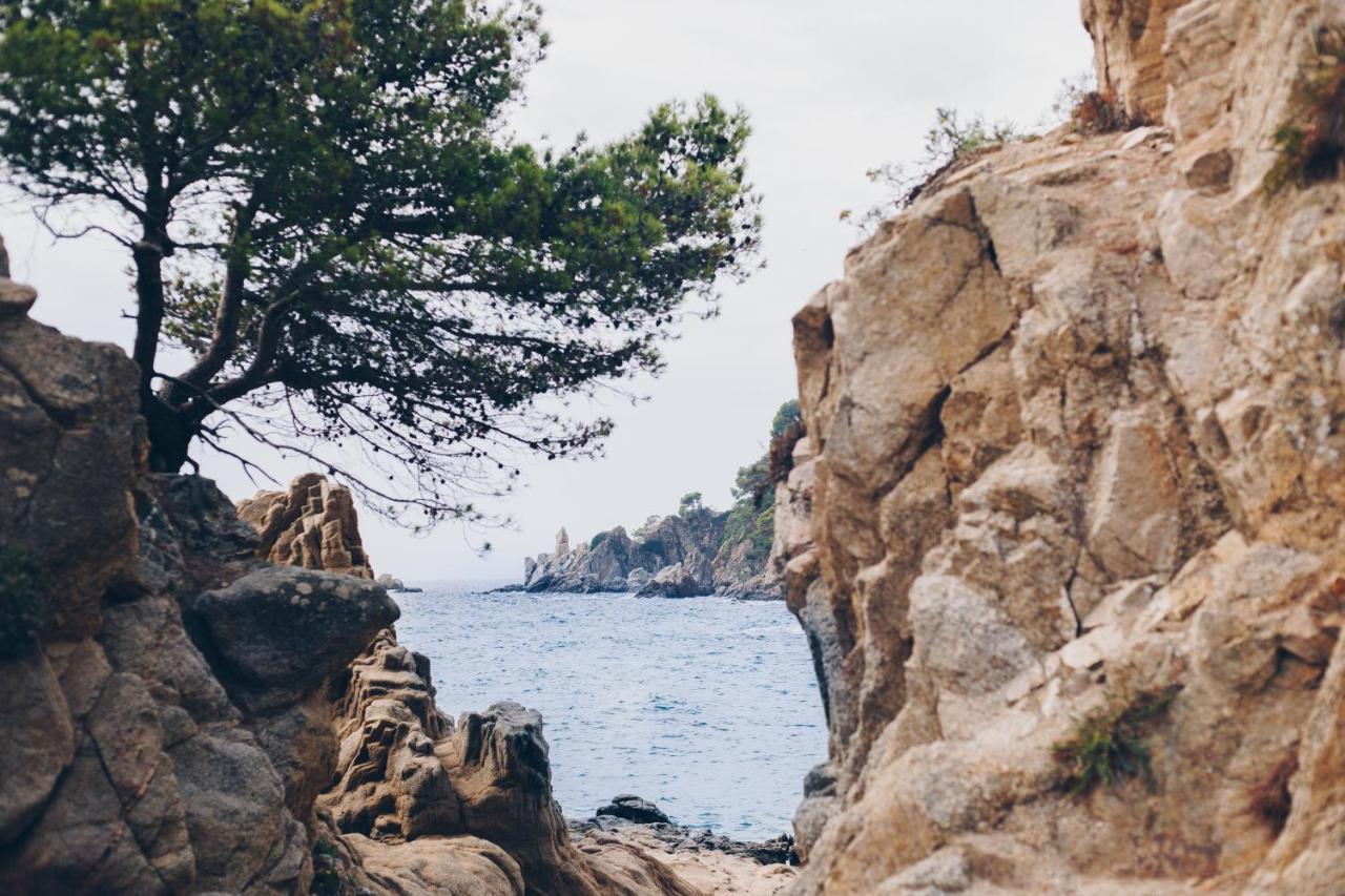 Cleopatra Spa Hotel Lloret de Mar Ngoại thất bức ảnh